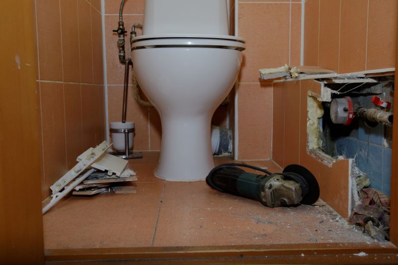 Commercial Toilet Repair